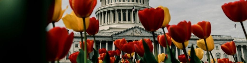 THL Advocates on Behalf of American Citizens in Legislative Lobby Days 3 legislative lobby days 2017