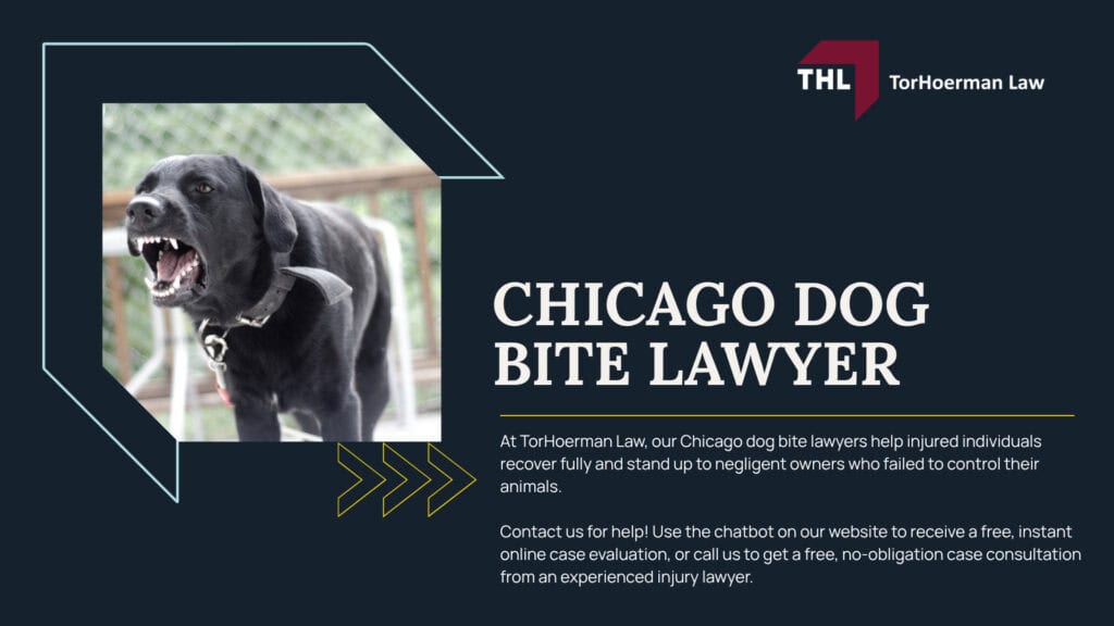 The #1 Chicago Dog Bite Lawyer; Meet Our Team of Experienced Chicago Dog Bite Attorneys; What To Do After a Dog Bite Incident in Chicago, IL; Gathering Evidence for Animal Attack Lawsuits; Damages in a Dog Bite Case; The Legal Process for an Illinois Dog Bite Claim; Illinois Dog Bite Laws and Chicago Dog Ordinances Explained; Common Types of Dog Bite Injuries; Do You Qualify for a Dog Bite Claim; TorHoerman Law_ Chicago Dog Bite Attorneys; Meet Our Team of Experienced Chicago Dog Bite Attorneys; What To Do After a Dog Bite Incident in Chicago, IL; Gathering Evidence for Animal Attack Lawsuits; Damages in a Dog Bite Case; The Legal Process for an Illinois Dog Bite Claim; Illinois Dog Bite Laws and Chicago Dog Ordinances Explained; Common Types of Dog Bite Injuries; Do You Qualify for a Dog Bite Claim; TorHoerman Law_ Chicago Dog Bite Attorneys