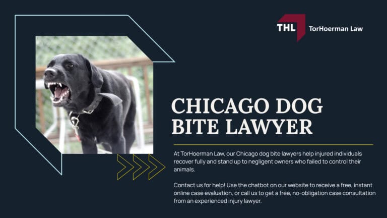 The #1 Chicago Dog Bite Lawyer; Meet Our Team of Experienced Chicago Dog Bite Attorneys; What To Do After a Dog Bite Incident in Chicago, IL; Gathering Evidence for Animal Attack Lawsuits; Damages in a Dog Bite Case; The Legal Process for an Illinois Dog Bite Claim; Illinois Dog Bite Laws and Chicago Dog Ordinances Explained; Common Types of Dog Bite Injuries; Do You Qualify for a Dog Bite Claim; TorHoerman Law_ Chicago Dog Bite Attorneys; Meet Our Team of Experienced Chicago Dog Bite Attorneys; What To Do After a Dog Bite Incident in Chicago, IL; Gathering Evidence for Animal Attack Lawsuits; Damages in a Dog Bite Case; The Legal Process for an Illinois Dog Bite Claim; Illinois Dog Bite Laws and Chicago Dog Ordinances Explained; Common Types of Dog Bite Injuries; Do You Qualify for a Dog Bite Claim; TorHoerman Law_ Chicago Dog Bite Attorneys
