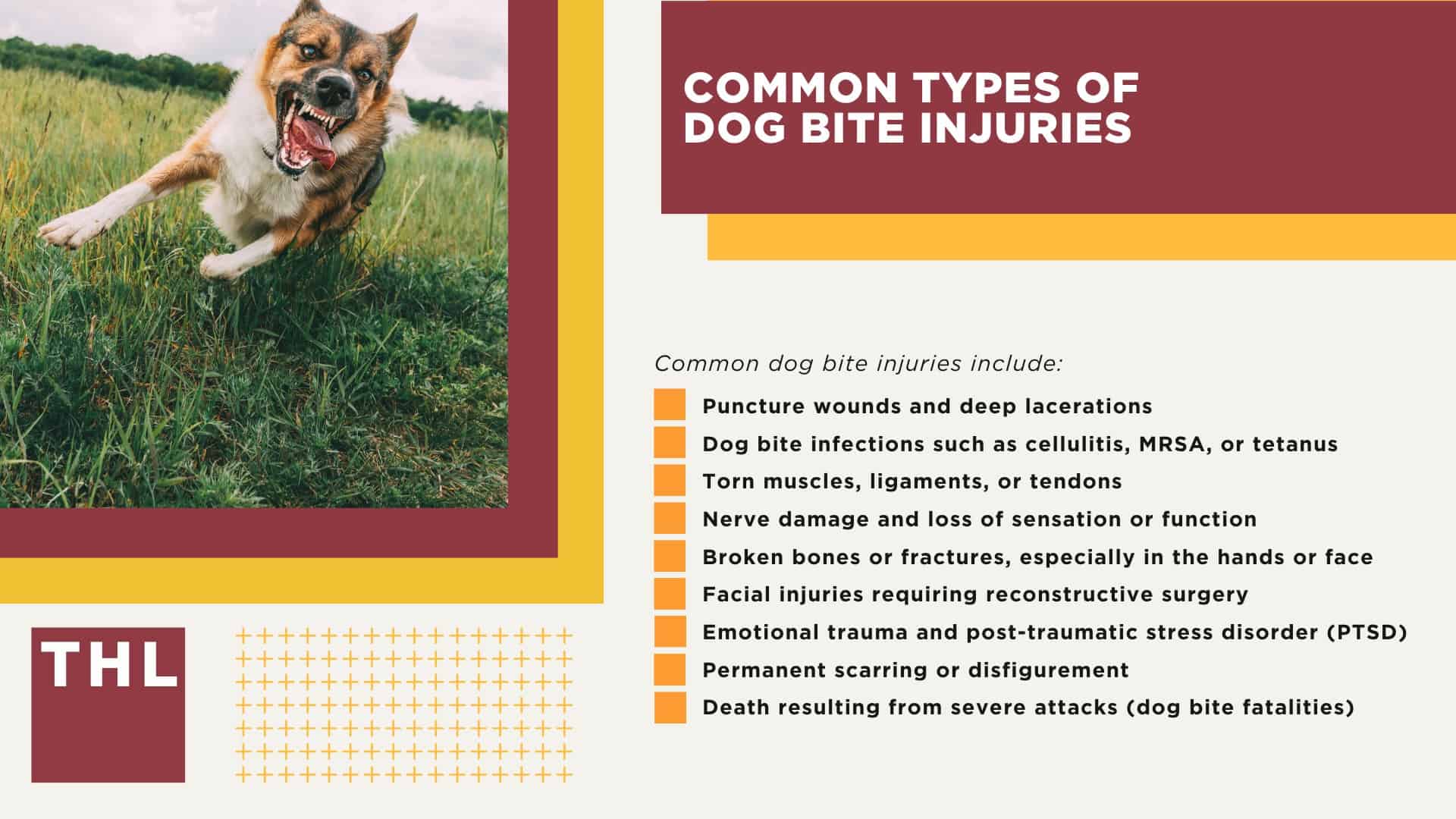 Common Types of Dog Bite Injuries
