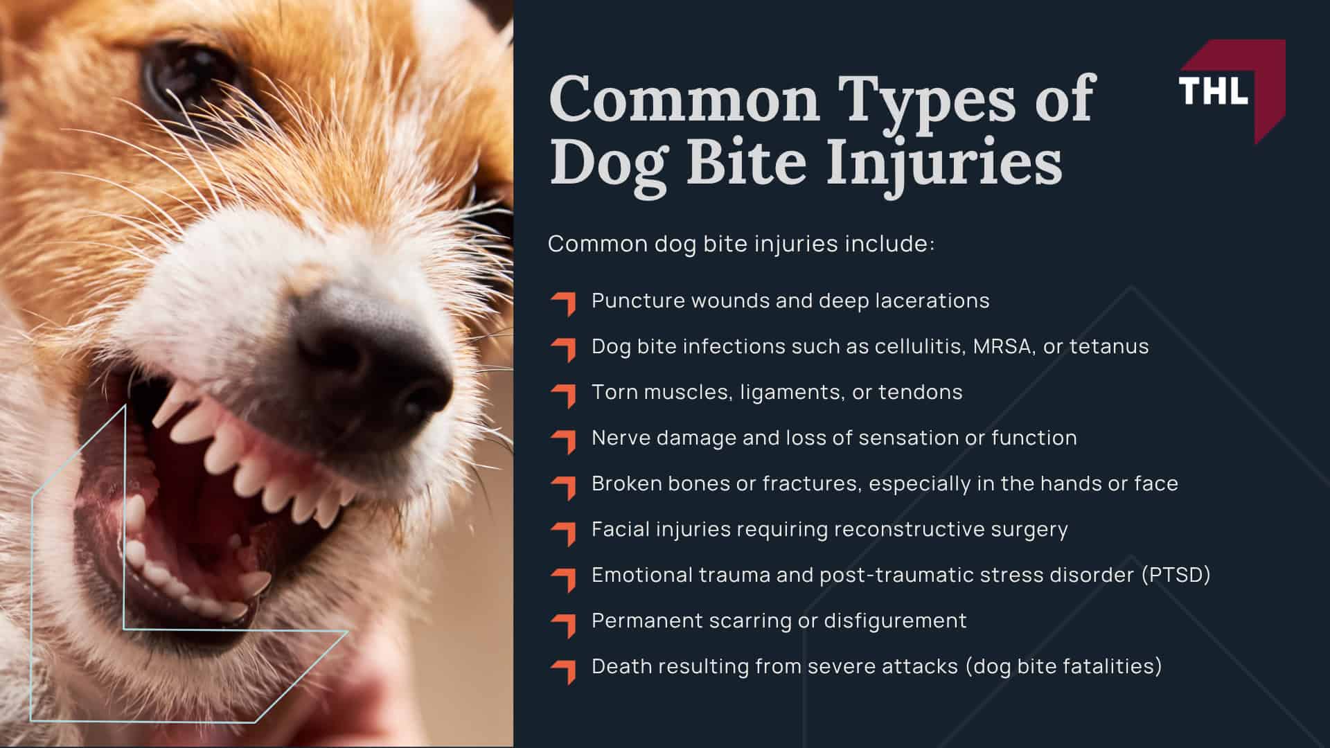 Meet Our Team of Experienced Chicago Dog Bite Attorneys; What To Do After a Dog Bite Incident in Chicago, IL; Gathering Evidence for Animal Attack Lawsuits; Damages in a Dog Bite Case; The Legal Process for an Illinois Dog Bite Claim; Illinois Dog Bite Laws and Chicago Dog Ordinances Explained; Common Types of Dog Bite Injuries