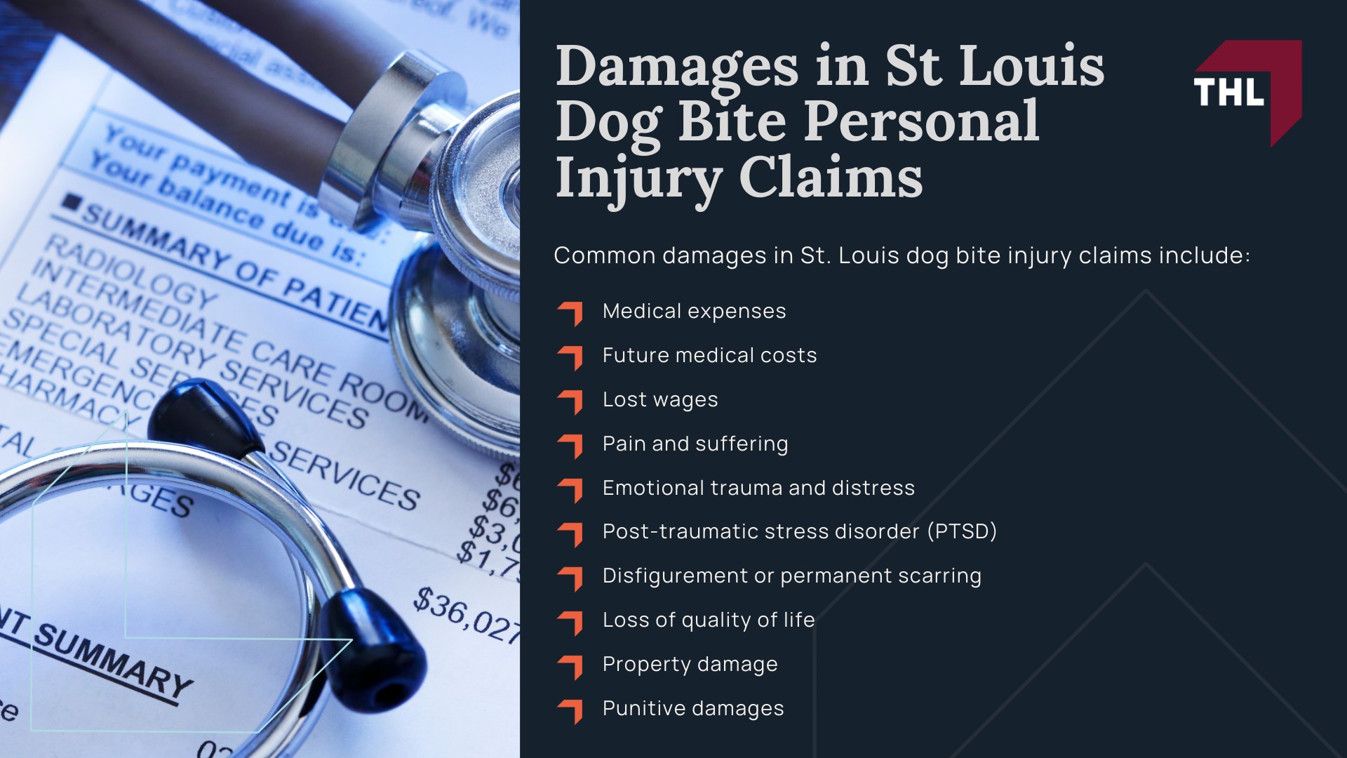 Meet Our Team of Experienced St Louis Dog Bite Lawyers; How Much Does it Cost to Hire the St Louis Dog Bite Attorneys from TorHoerman Law; What To Do After a Dog Bite Incident in St Louis, MO; Gathering Evidence for a Dog Bite Injury Case; Damages in St Louis Dog Bite Personal Injury Claims