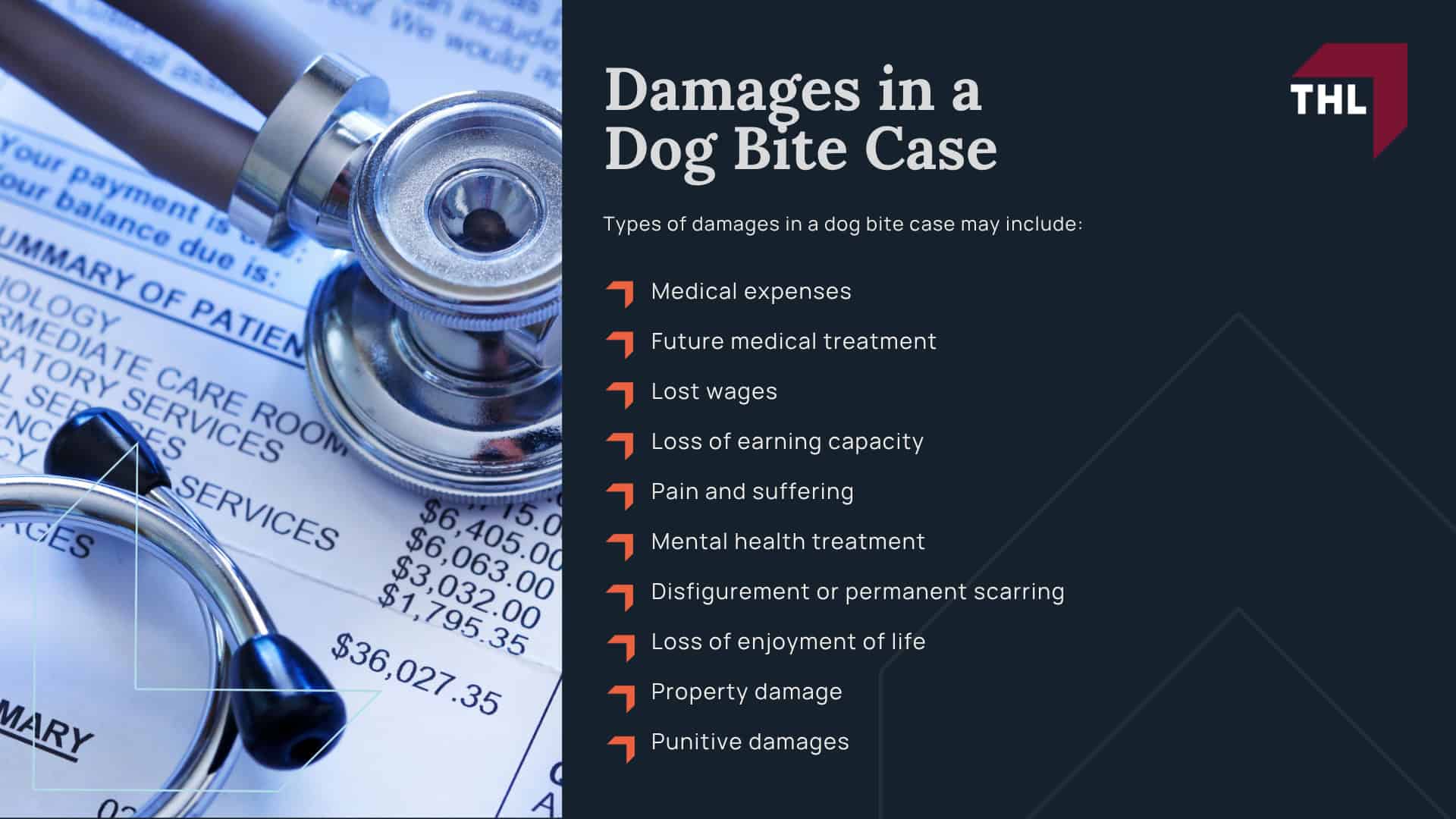 Meet Our Team of Experienced Chicago Dog Bite Attorneys; What To Do After a Dog Bite Incident in Chicago, IL; Gathering Evidence for Animal Attack Lawsuits; Damages in a Dog Bite Case