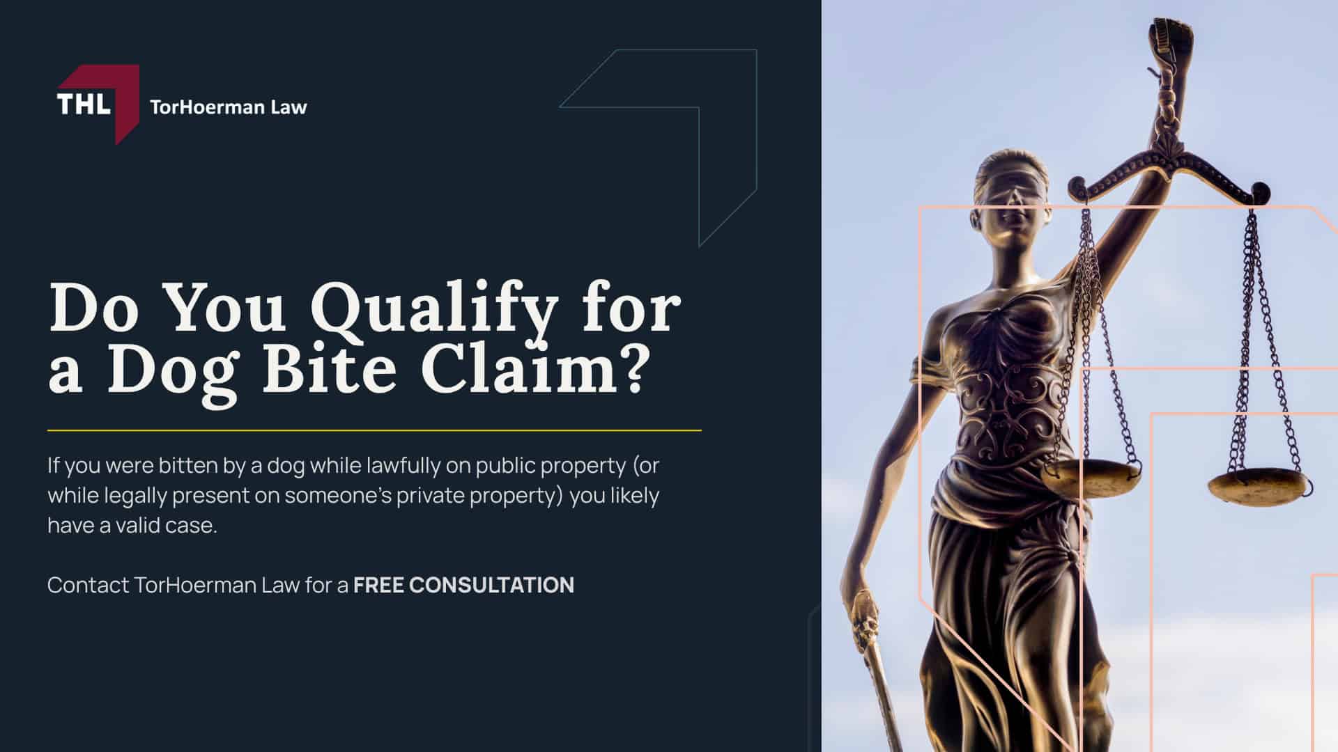 Meet Our Team of Experienced Chicago Dog Bite Attorneys; What To Do After a Dog Bite Incident in Chicago, IL; Gathering Evidence for Animal Attack Lawsuits; Damages in a Dog Bite Case; The Legal Process for an Illinois Dog Bite Claim; Illinois Dog Bite Laws and Chicago Dog Ordinances Explained; Common Types of Dog Bite Injuries; Do You Qualify for a Dog Bite Claim