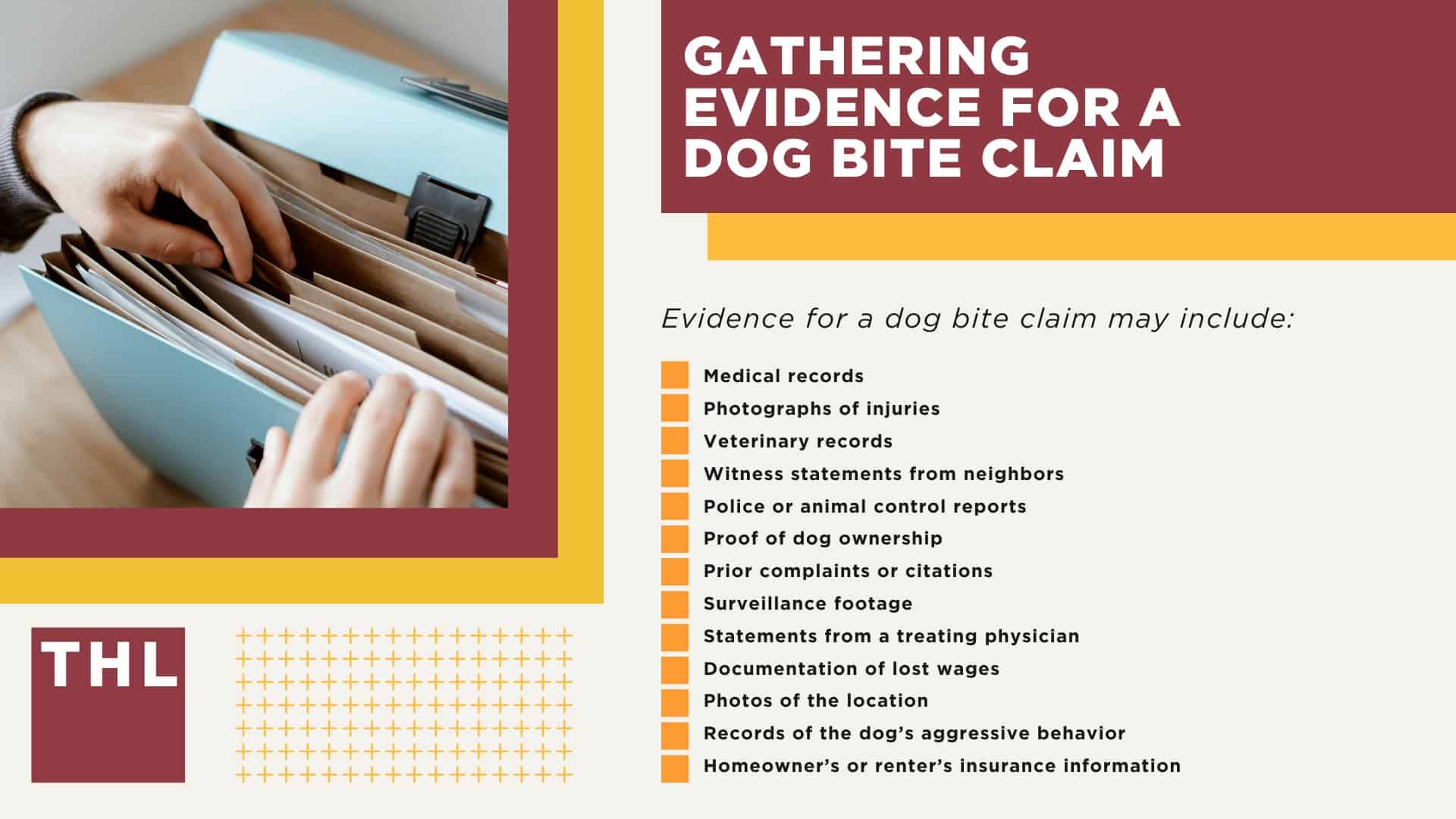 Gathering Evidence for a Dog Bite Claim