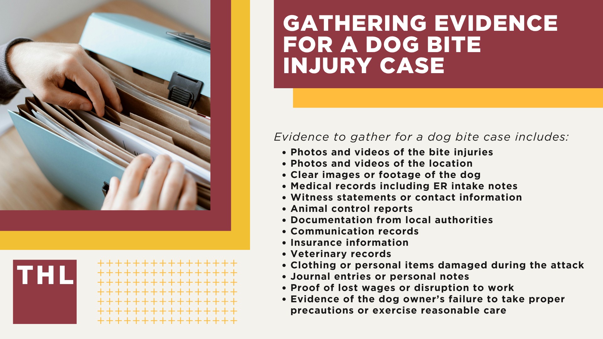 Meet Our Team of Experienced St Louis Dog Bite Lawyers; What To Do After a Dog Bite Incident in St Louis, MO; Gathering Evidence for a Dog Bite Injury Case