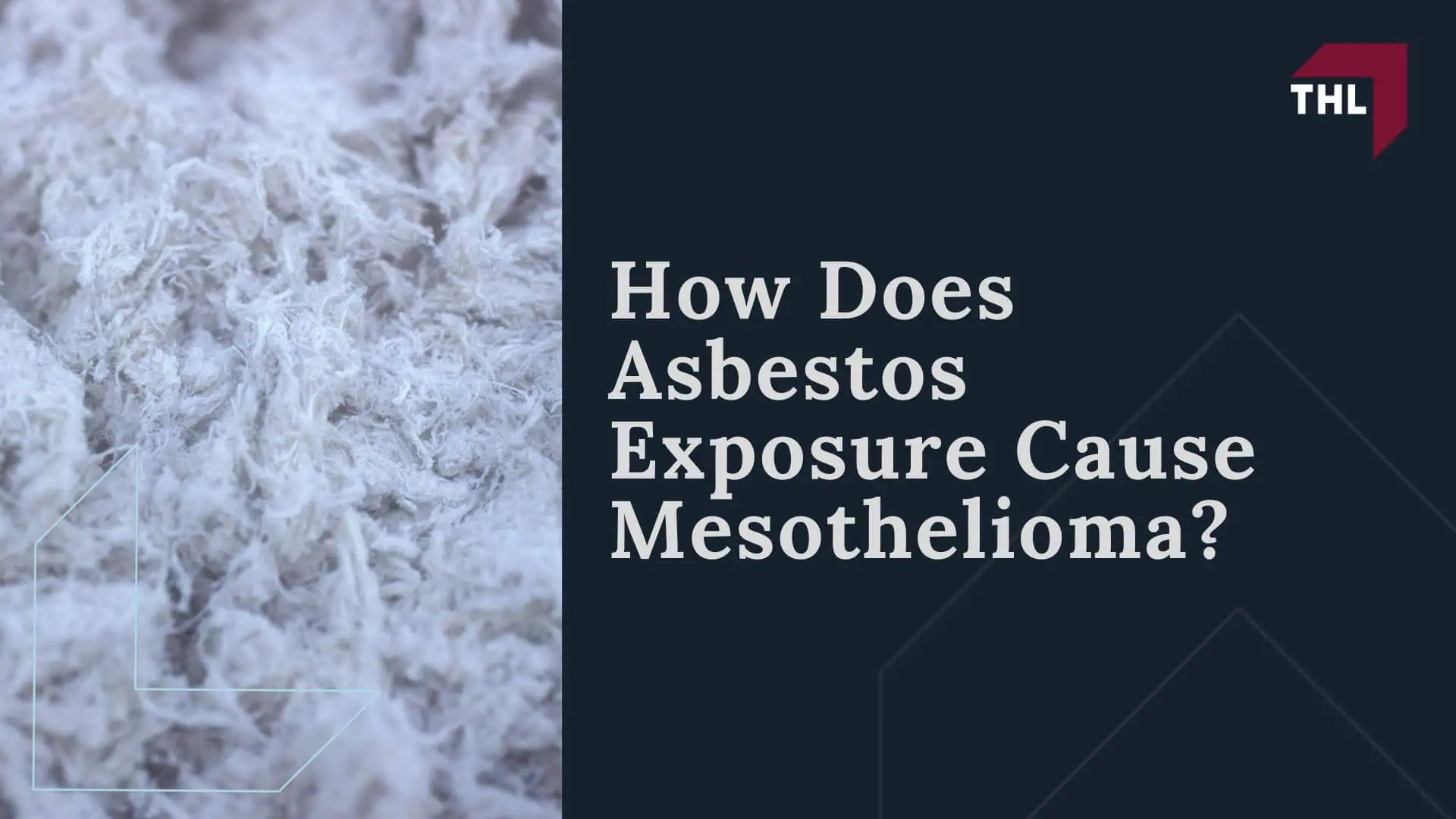 How Does Asbestos Exposure Cause Mesothelioma