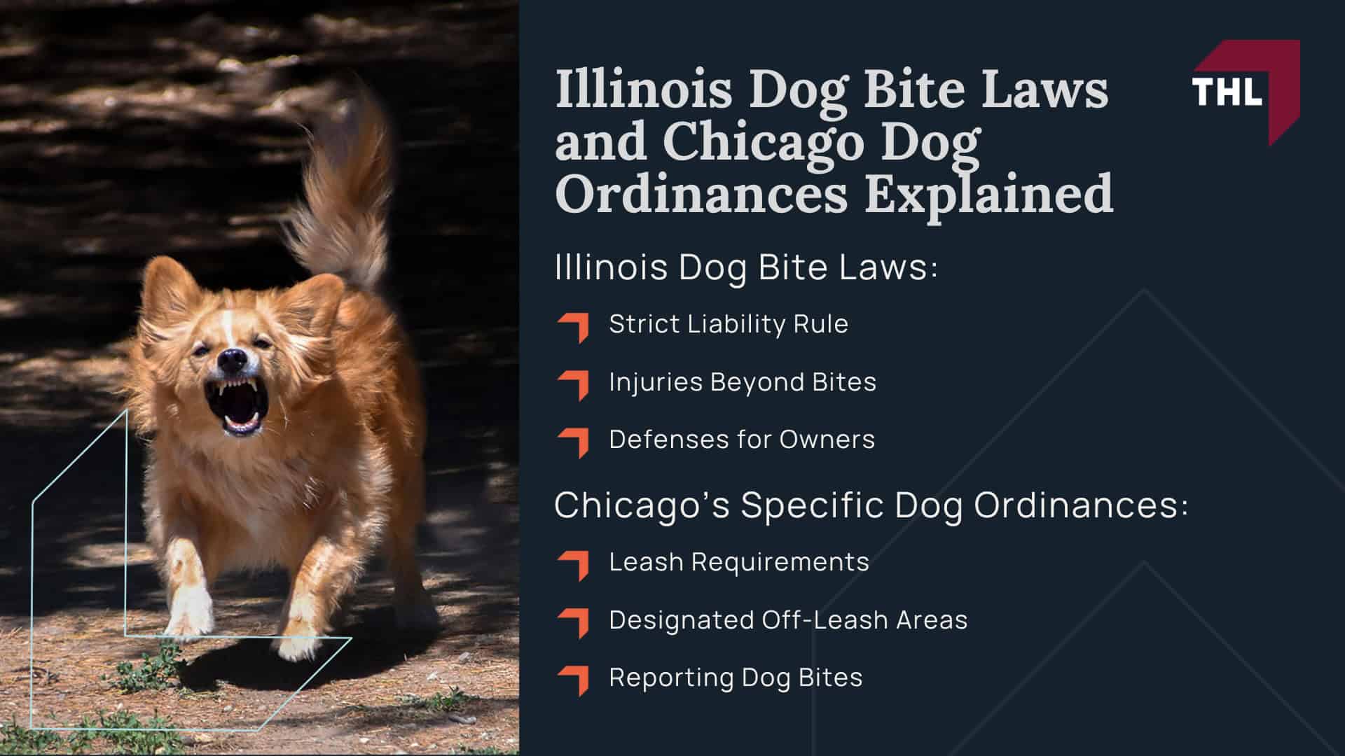 Meet Our Team of Experienced Chicago Dog Bite Attorneys; What To Do After a Dog Bite Incident in Chicago, IL; Gathering Evidence for Animal Attack Lawsuits; Damages in a Dog Bite Case; The Legal Process for an Illinois Dog Bite Claim; Illinois Dog Bite Laws and Chicago Dog Ordinances Explained