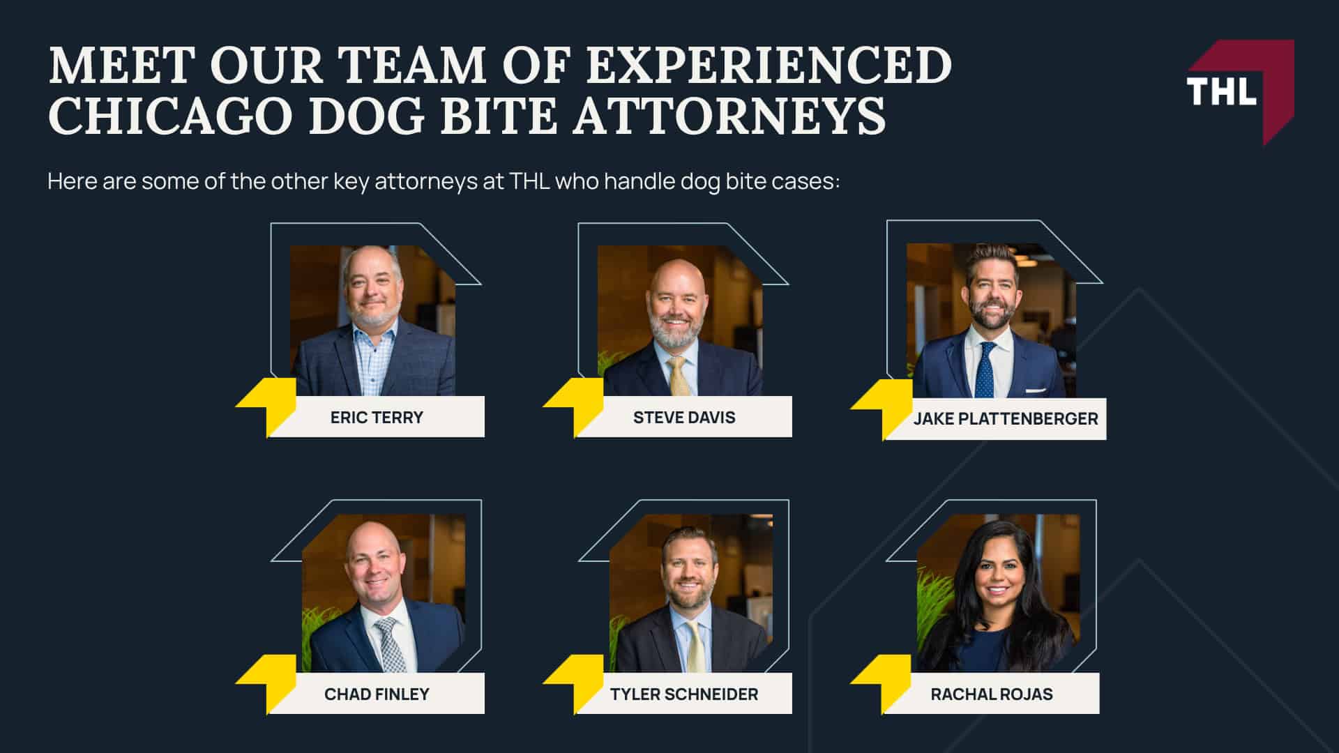 Meet Our Team of Experienced Chicago Dog Bite Attorneys
