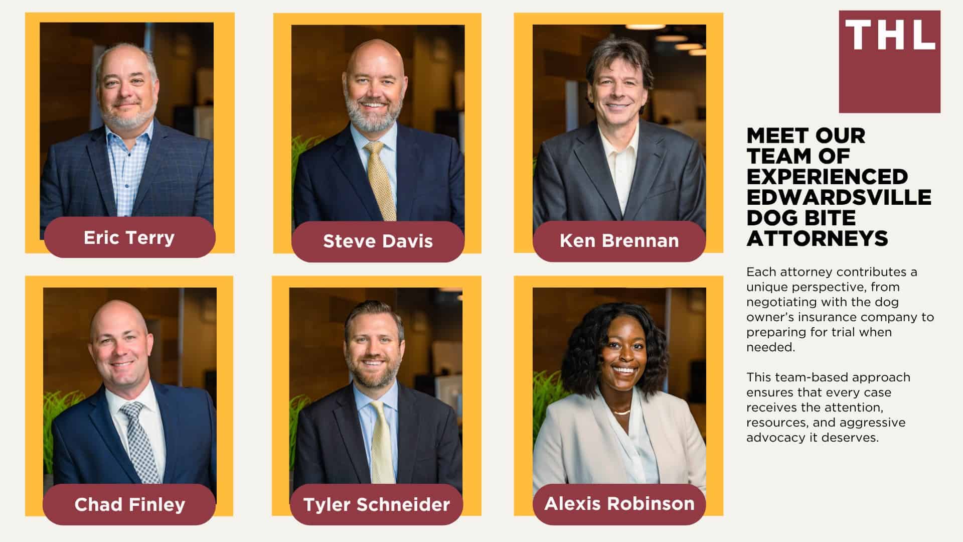 Meet Our Team of Experienced Edwardsville Dog Bite Attorneys