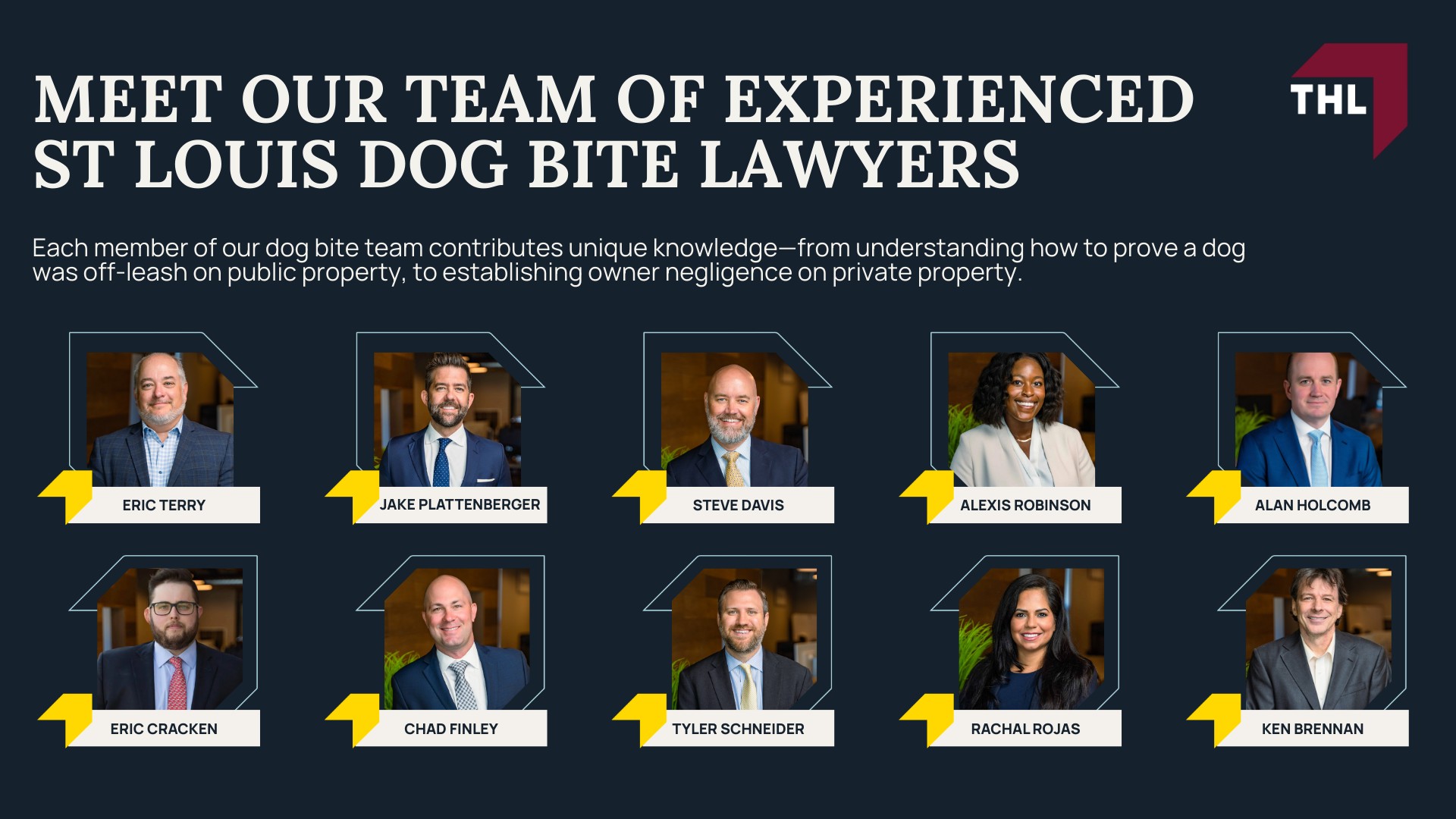 Meet Our Team of Experienced St Louis Dog Bite Lawyers