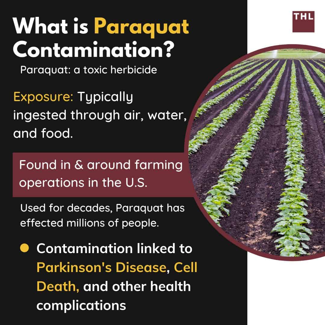 what is paraquat contamination? 