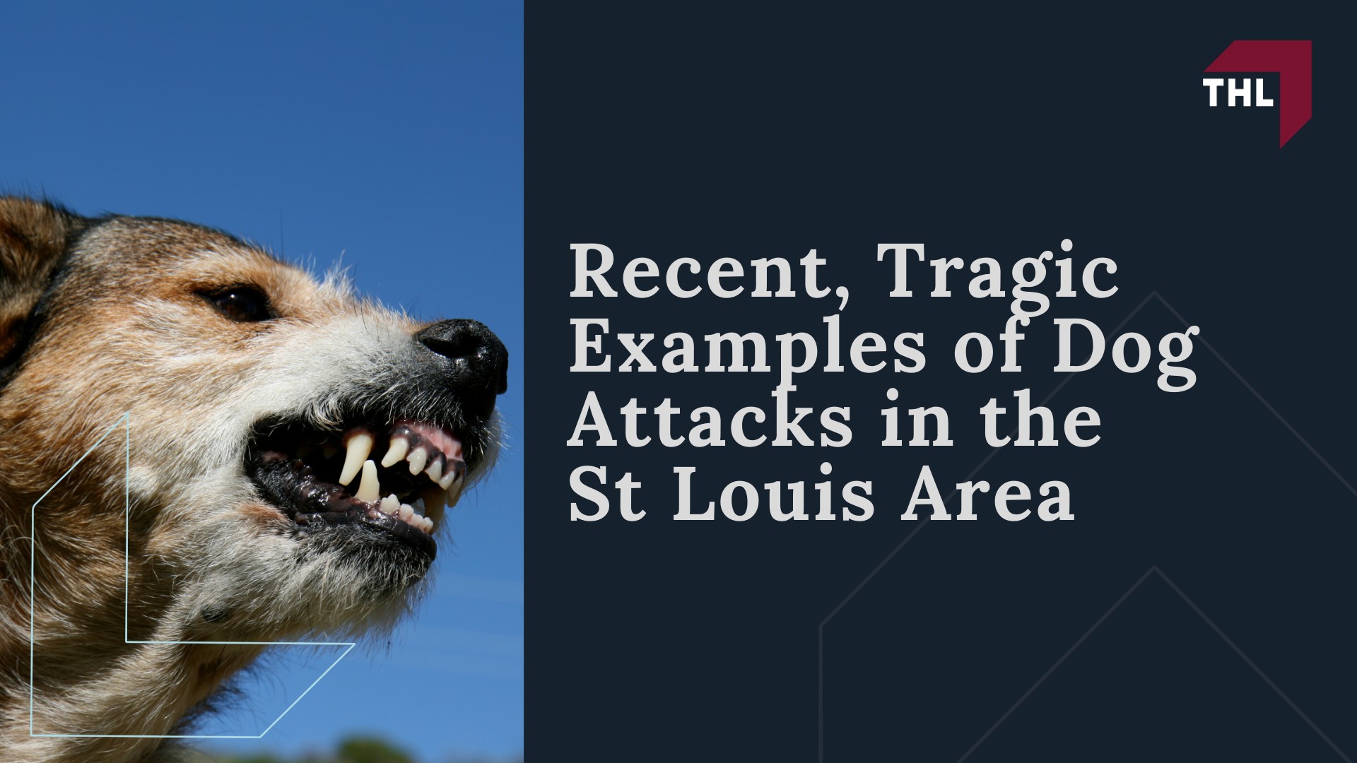 Meet Our Team of Experienced St Louis Dog Bite Lawyers; How Much Does it Cost to Hire the St Louis Dog Bite Attorneys from TorHoerman Law; What To Do After a Dog Bite Incident in St Louis, MO; Gathering Evidence for a Dog Bite Injury Case; Damages in St Louis Dog Bite Personal Injury Claims; The Legal Process for a Dog Bite Case in Missouri; Recent, Tragic Examples of Dog Attacks in the St Louis Area