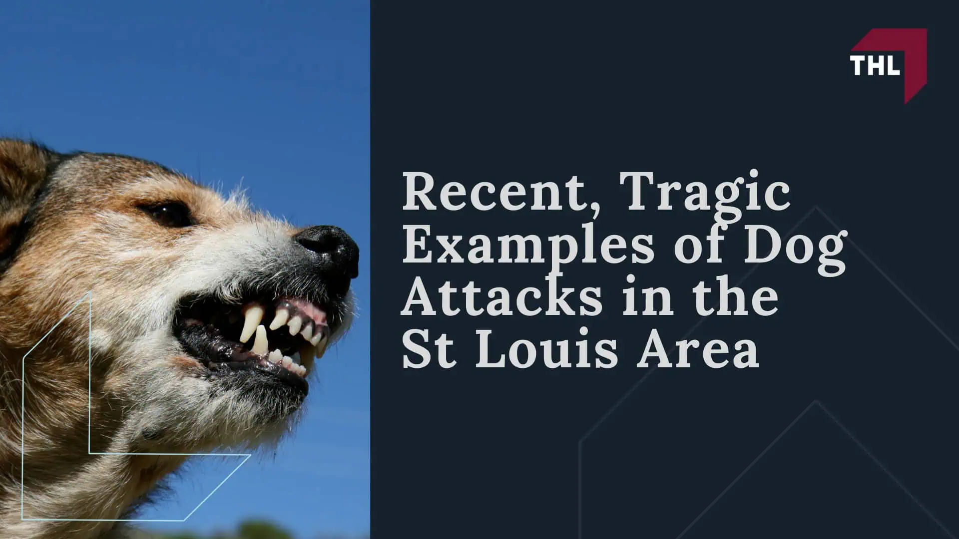 Tragic Examples of Dog Attacks in the St Louis Area