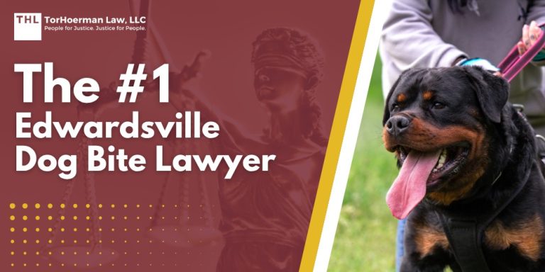 The #1 Edwardsville Dog Bite Lawyer