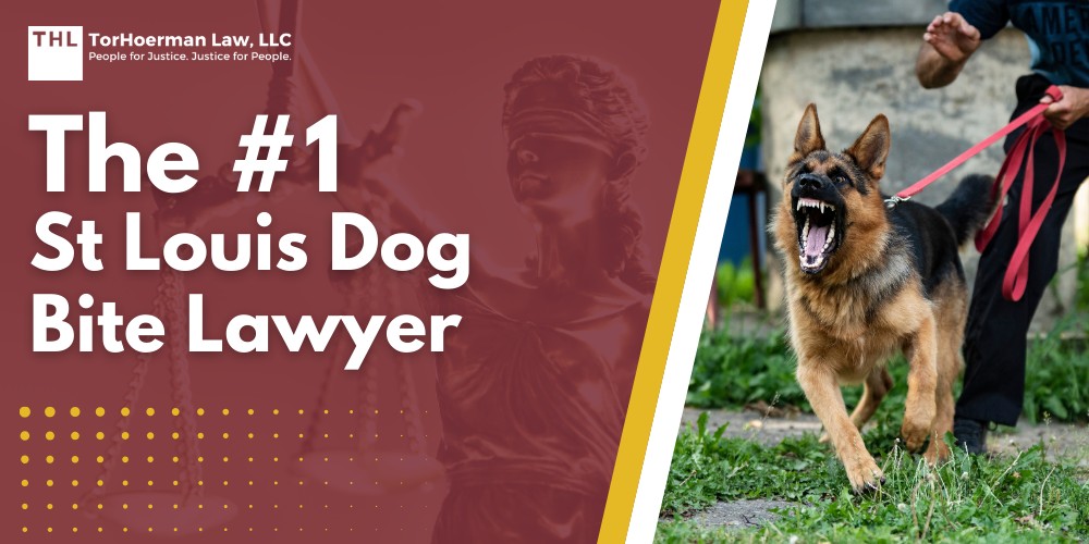 Location 1 The #1 St Louis Dog Bite Lawyer; Meet Our Team of Experienced St Louis Dog Bite Lawyers; What To Do After a Dog Bite Incident in St Louis, MO; Gathering Evidence for a Dog Bite Injury Case; Damages in St Louis Dog Bite Personal Injury Claims; The Legal Process for a Dog Bite Case in Missouri; How Much is My Dog Bite Case Worth; Do You Qualify for a Dog Bite Lawsuit; TorHoerman Law_ St Louis Dog Bite Lawyers