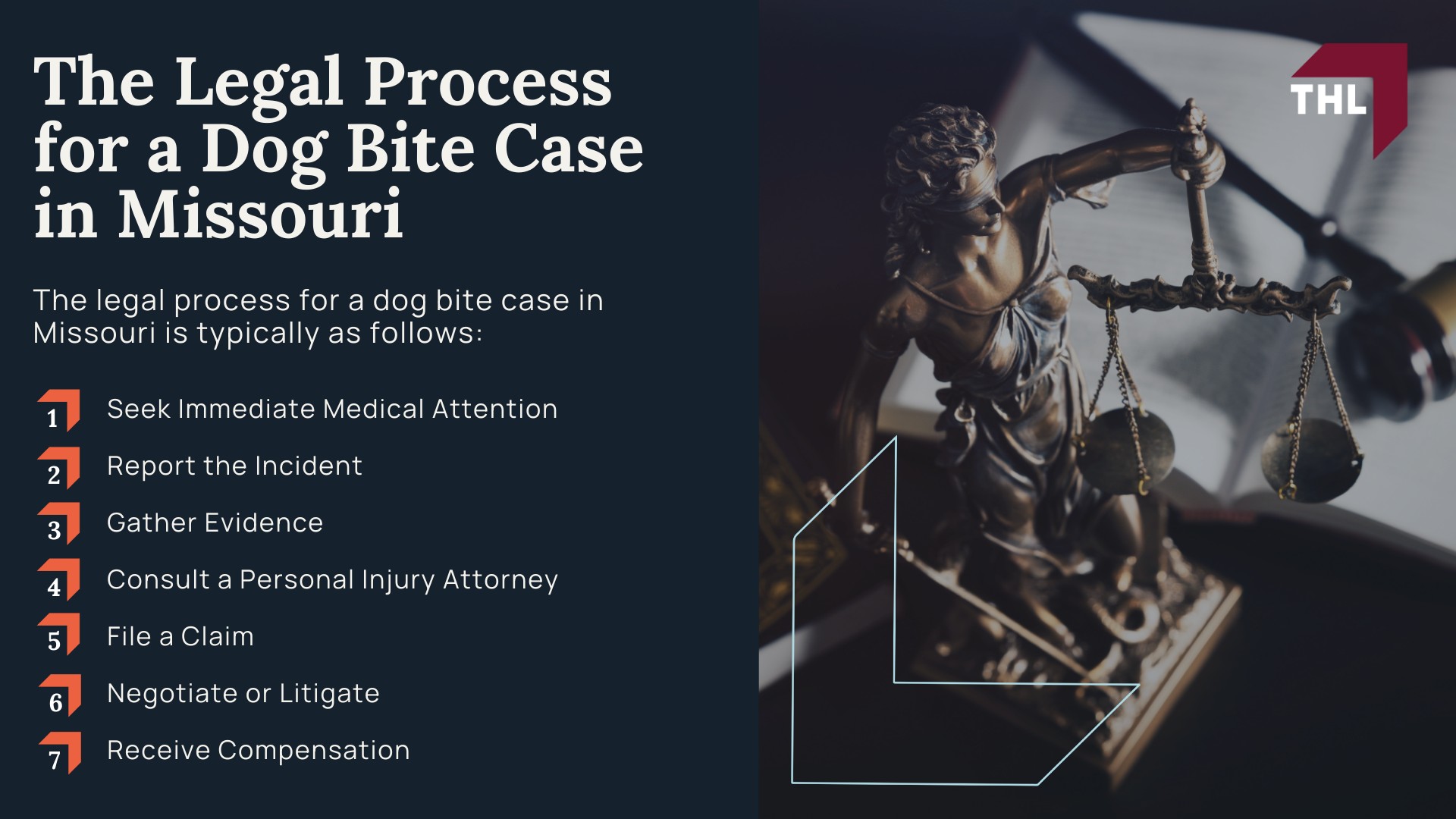 Meet Our Team of Experienced St Louis Dog Bite Lawyers; How Much Does it Cost to Hire the St Louis Dog Bite Attorneys from TorHoerman Law; What To Do After a Dog Bite Incident in St Louis, MO; Gathering Evidence for a Dog Bite Injury Case; Damages in St Louis Dog Bite Personal Injury Claims; The Legal Process for a Dog Bite Case in Missouri