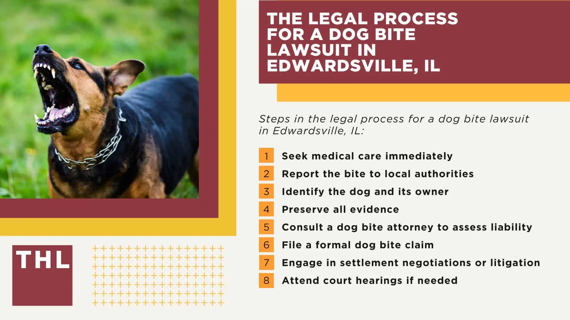 Meet Our Team of Experienced Edwardsville Dog Bite Attorneys; What To Do After a Dog Attack in Edwardsville, IL; The Legal Process for a Dog Bite Lawsuit in Edwardsville, IL