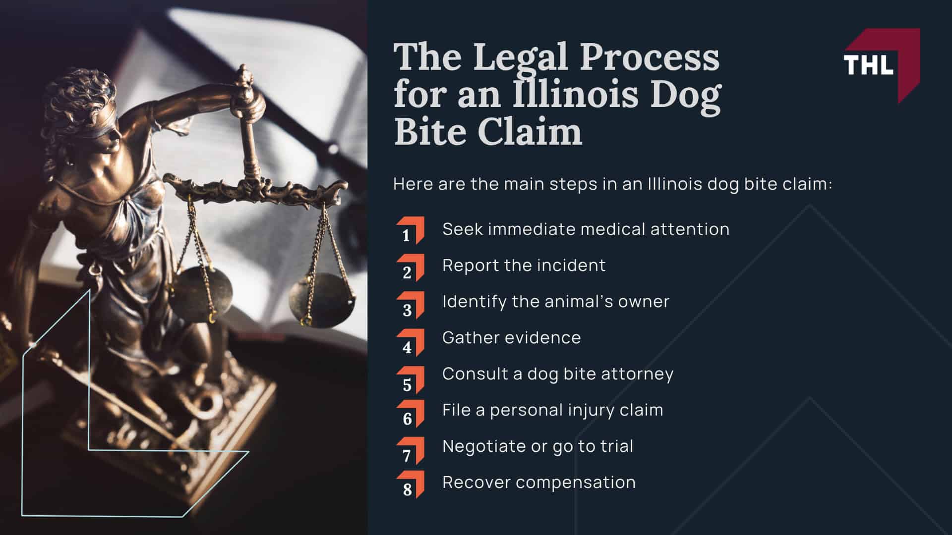 Meet Our Team of Experienced Chicago Dog Bite Attorneys; What To Do After a Dog Bite Incident in Chicago, IL; Gathering Evidence for Animal Attack Lawsuits; Damages in a Dog Bite Case; The Legal Process for an Illinois Dog Bite Claim