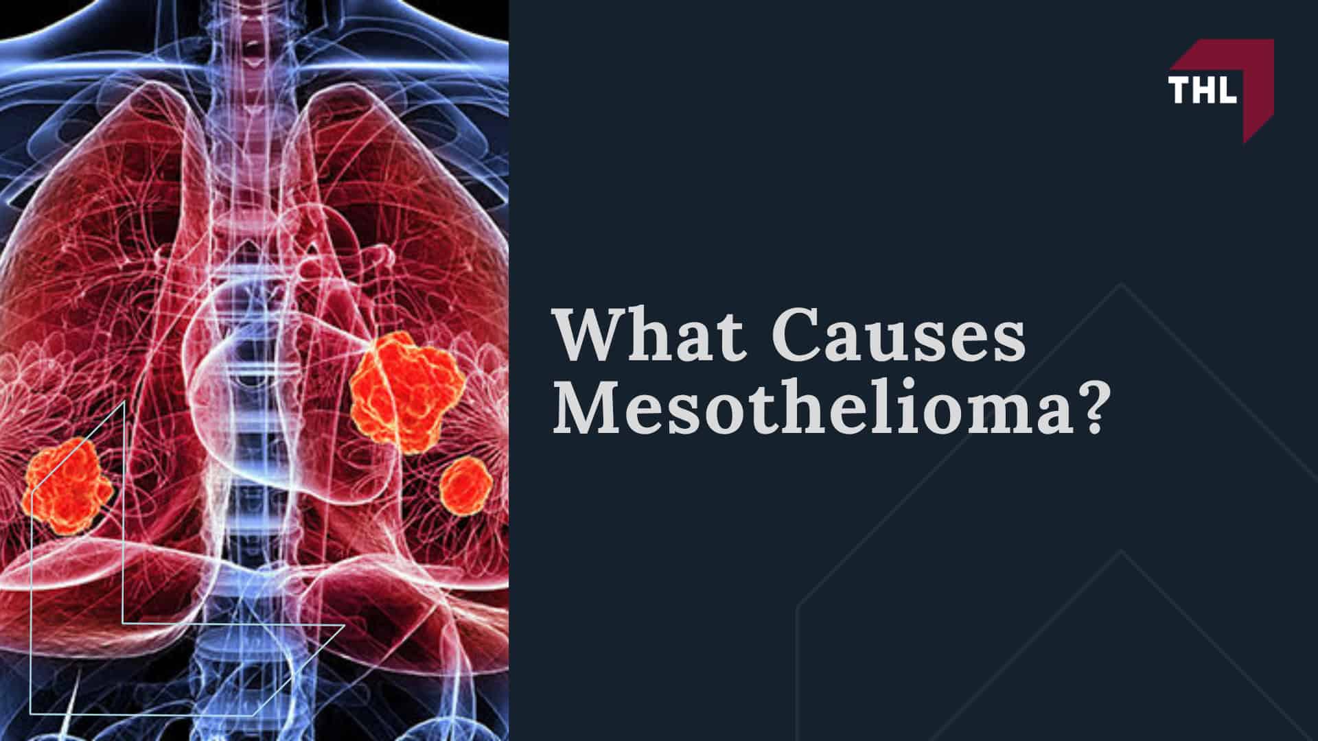 What Causes Mesothelioma