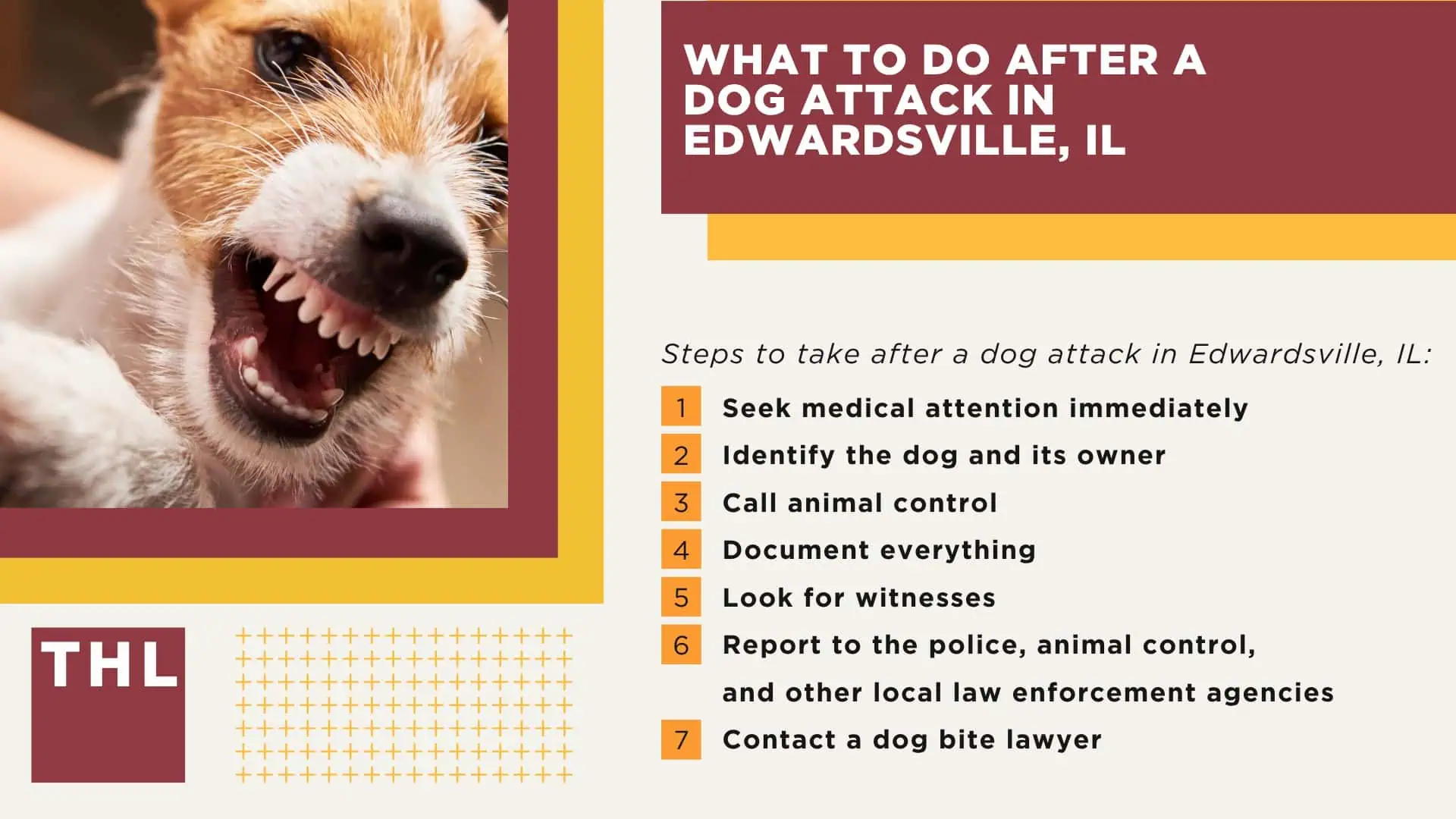 Meet Our Team of Experienced Edwardsville Dog Bite Attorneys; What To Do After a Dog Attack in Edwardsville, IL