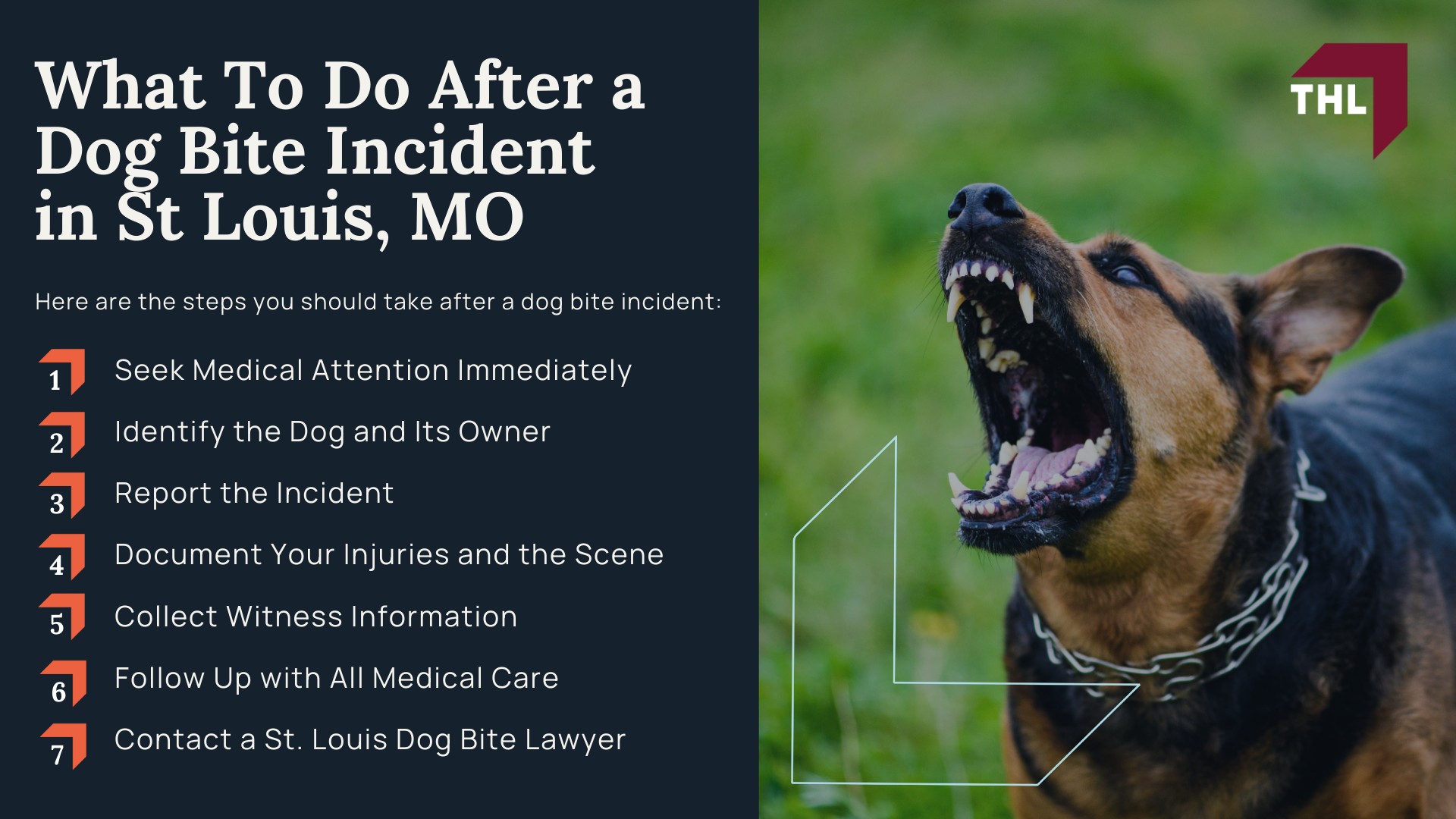 Meet Our Team of Experienced St Louis Dog Bite Lawyers; How Much Does it Cost to Hire the St Louis Dog Bite Attorneys from TorHoerman Law; What To Do After a Dog Bite Incident in St Louis, MO