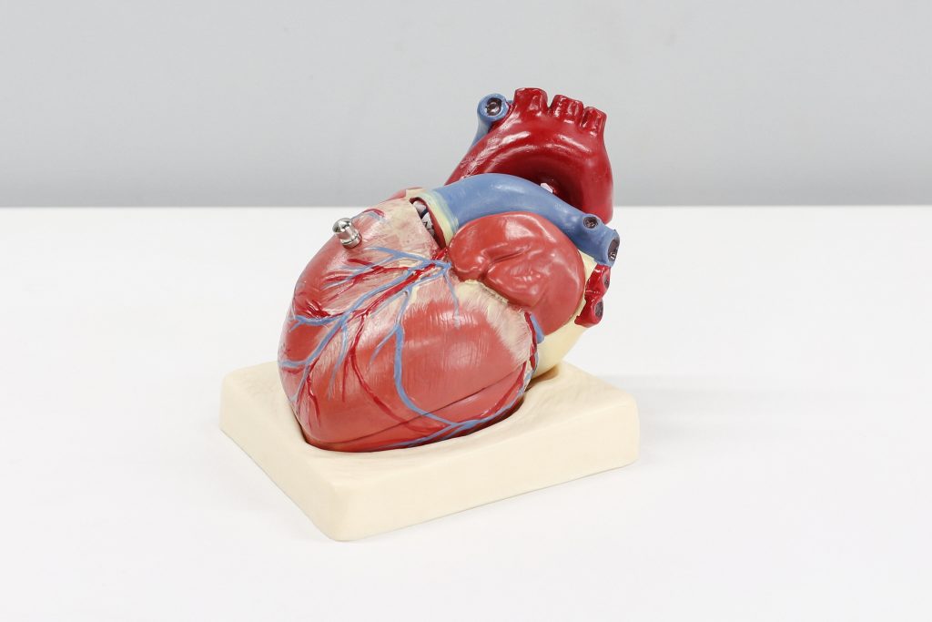 FDA Warns Doctors About Absorb Dissolving Heart Stent 2 heart scaled