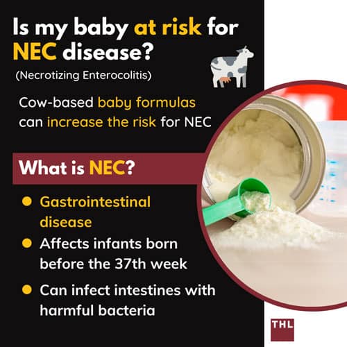 toxic baby formula; cow-based milk formula; bovine based formula; NEC disease; Necrotizing Enterocolitis; Gastrointestinal disease; intestinal inflamation; intestinal infection;