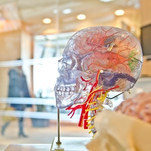 determining liability sports brain injury lawsuit