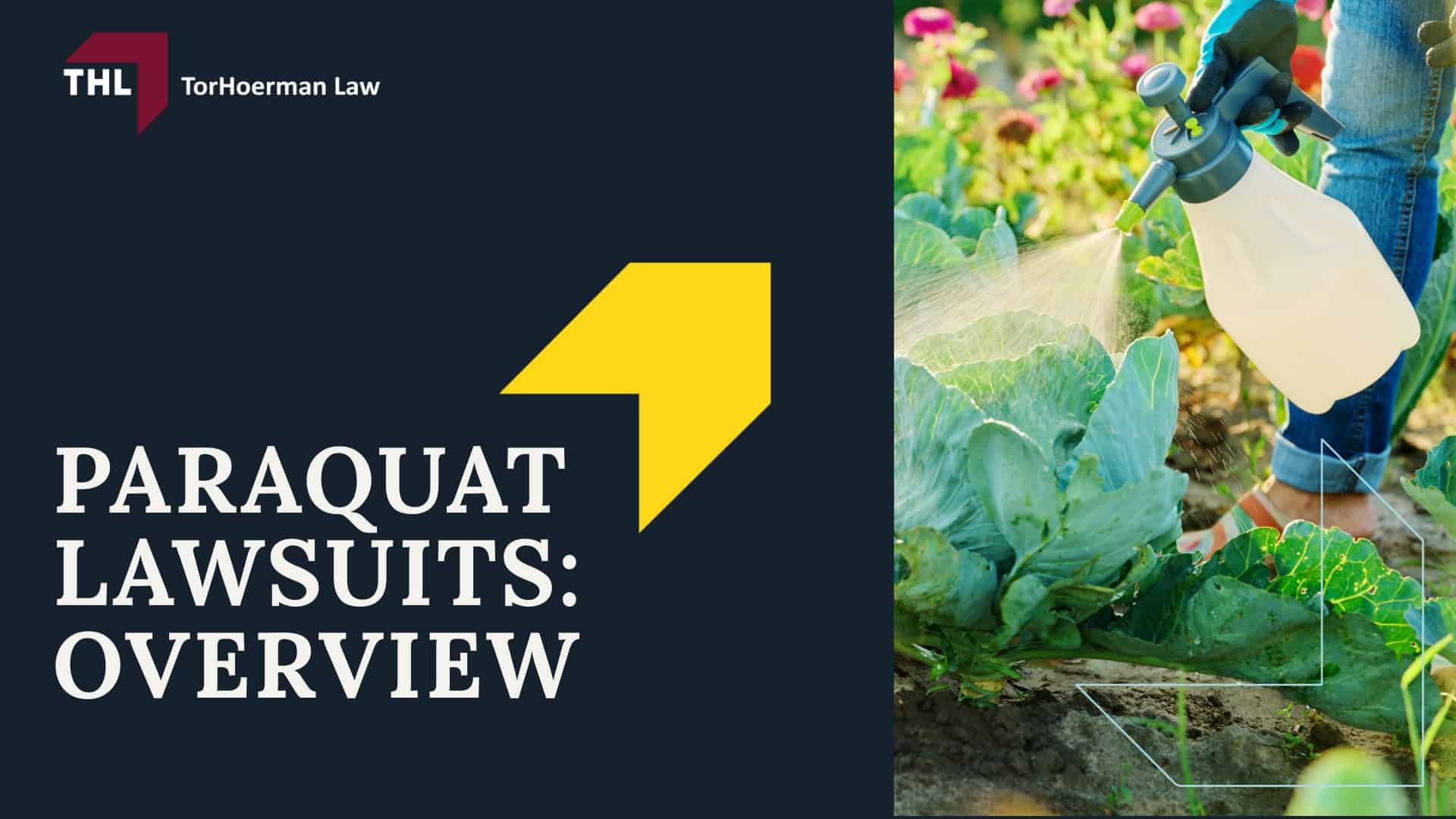 What Is The Paraquat MDL - What is the Paraquat Multidistrict Litigation (MDL) - torhoerman law; What Is The Paraquat MDL - The Paraquat Litigation is NOT a Class Action Lawsuit - torhoerman law; What Is The Paraquat MDL - Why is Multidistrict Litigation Chosen for the Paraquat Parkinson’s Disease Lawsuits - torhoerman law; What Is The Paraquat MDL - Paraquat Lawsuits Overview - torhoerman law