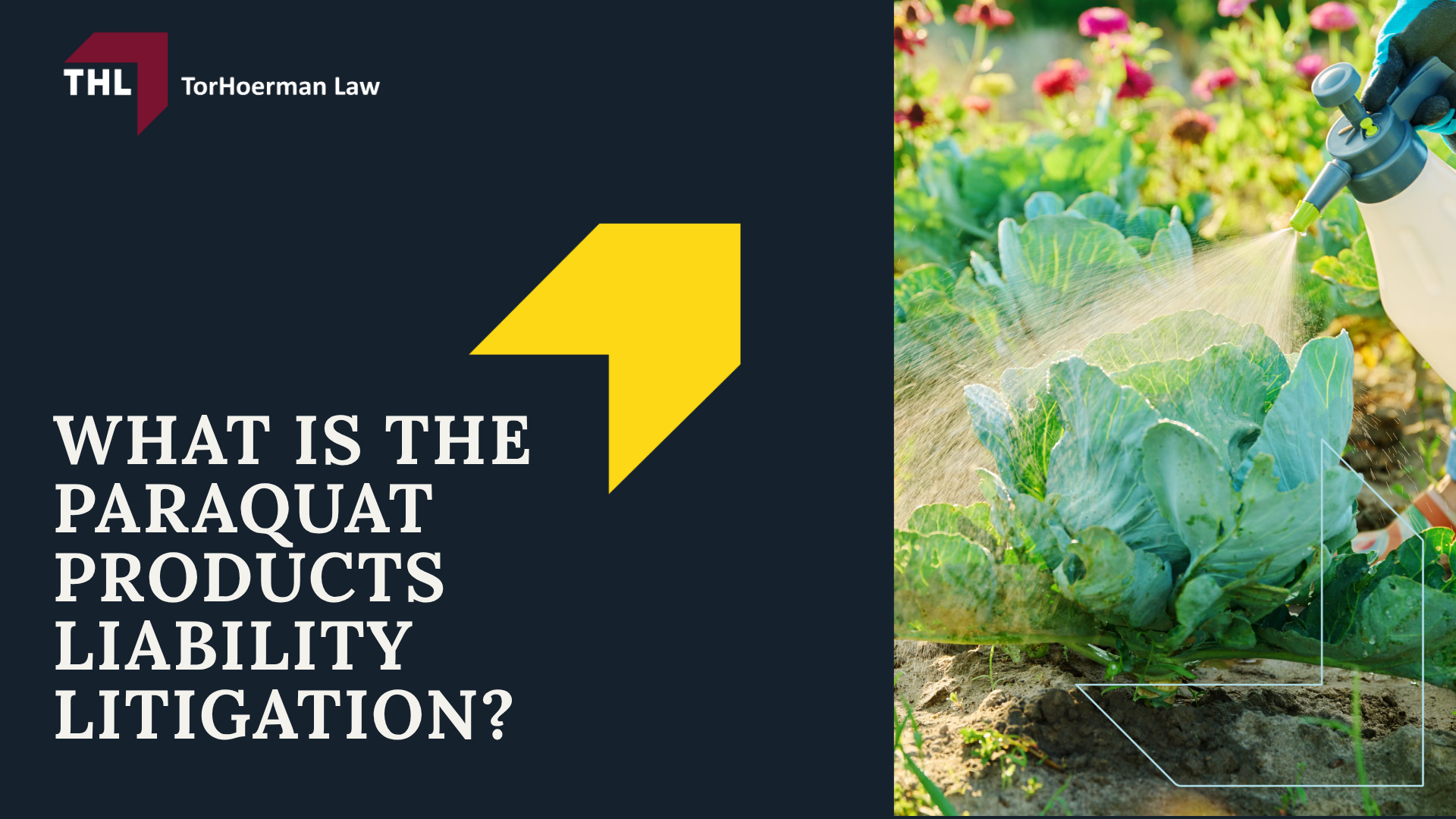 Paraquat Lawsuit Statute of Limitations by State; Paraquat Lawsuit Overview; Paraquat’s Health Risks_ Links to Parkinson’s Disease; What is the Paraquat Products Liability Litigation