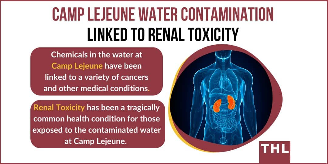 renal toxicity linked to contaminated drinking water at camp lejeune