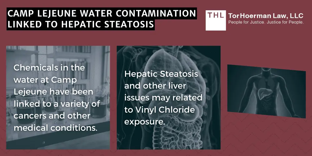camp lejeune water contamination linked to hepatic steatosis