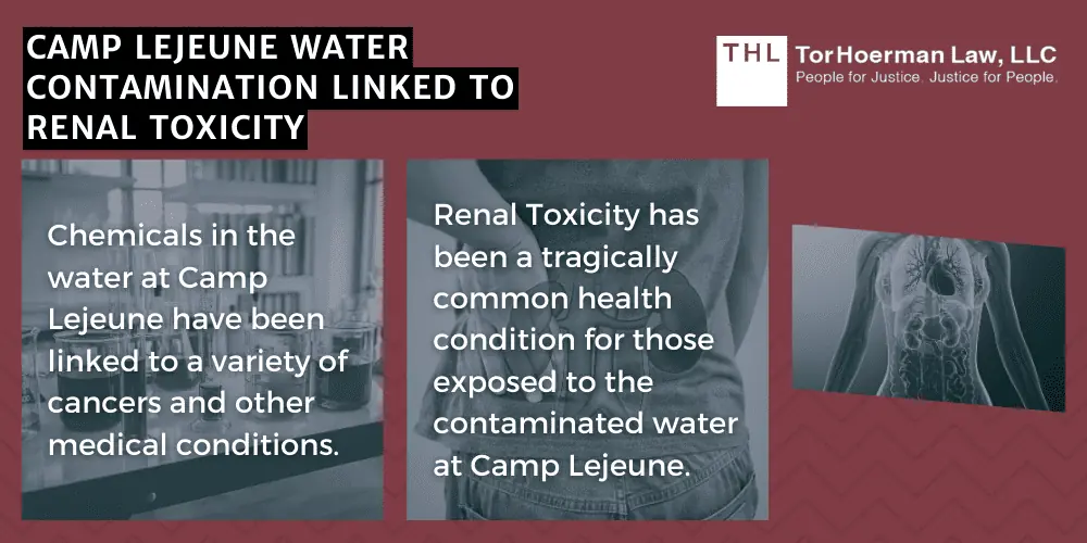 renal toxicity linked to contaminated drinking water at camp lejeune