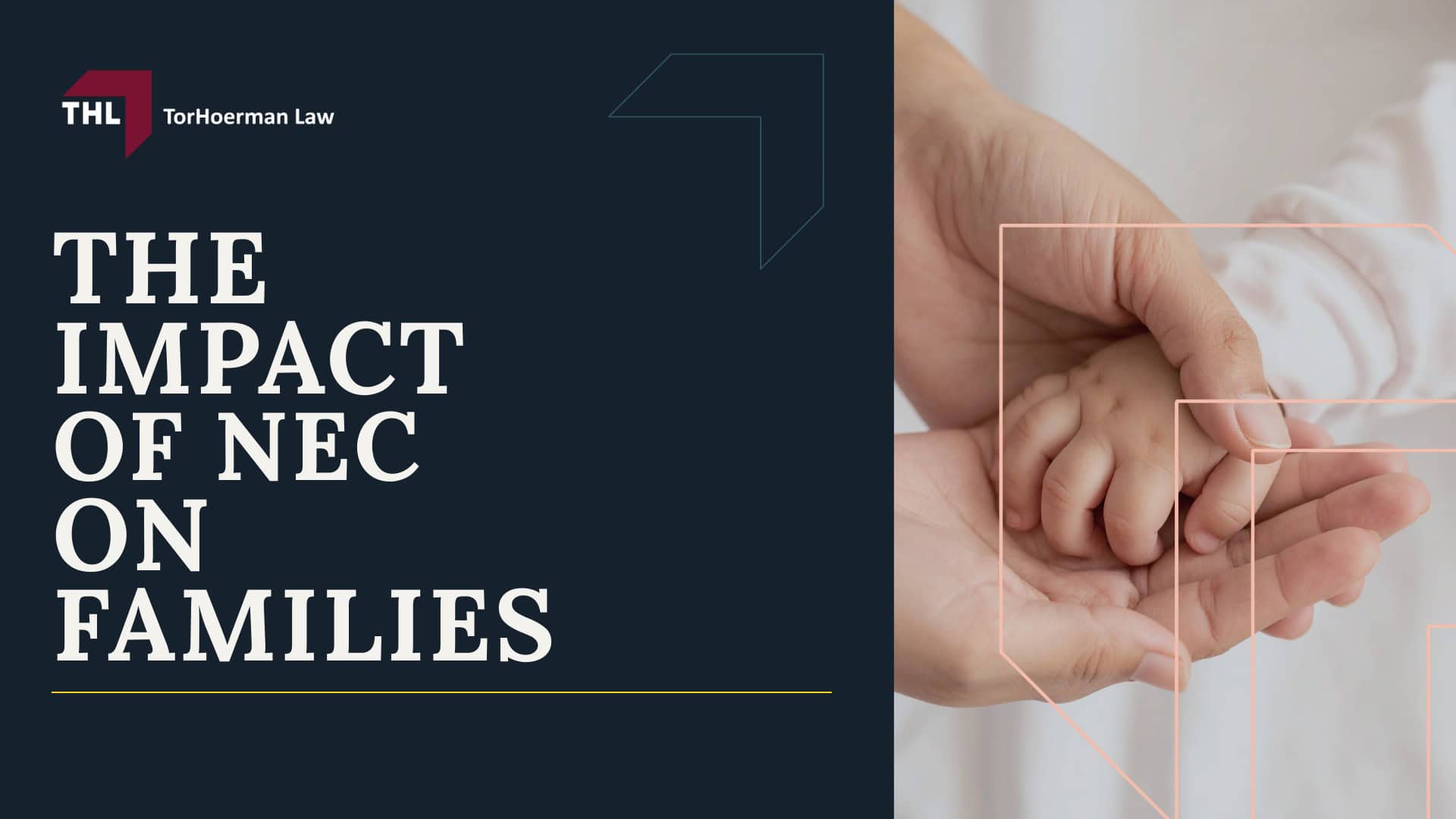 An Overview of the NEC Baby Formula Lawsuits; What Baby Formula Manufacturers are Facing NEC Infant Formula Lawsuits?; The Impact of NEC on Families