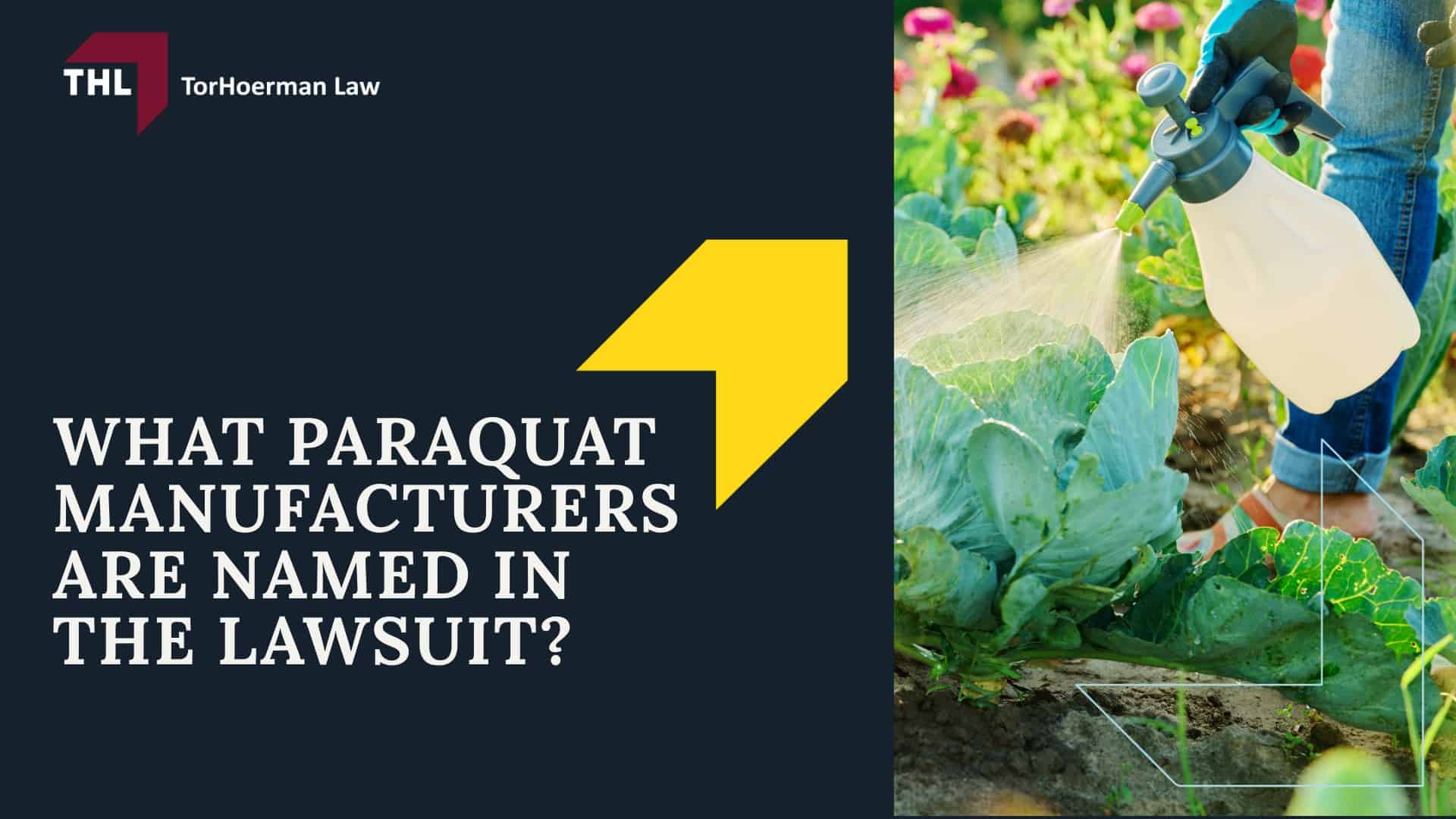 Paraquat Lawsuit Settlement Amounts - On-site Graphics - 2026 Design - TorHoerman Law; Paraquat Lawsuit Settlement Amounts - Paraquat Lawsuit Overview and Updates - torhoerman law; Paraquat Lawsuit Settlement Amounts - What Paraquat Manufacturers are Named in the Lawsuit - torhoerman law (1)