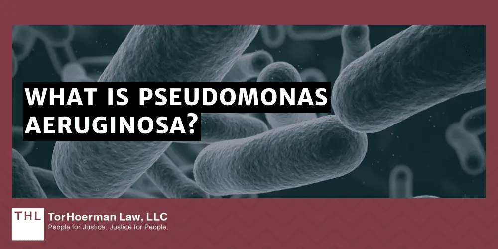 What Is Pseudomonas Aeruginosa
