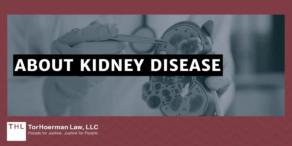 About Kidney Disease
