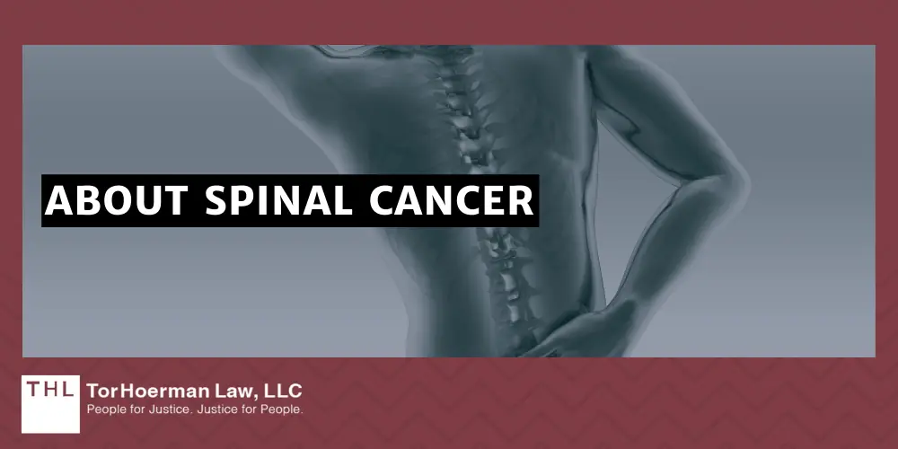 About Spinal Cancer