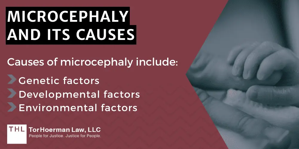 Microcephaly And Its Causes