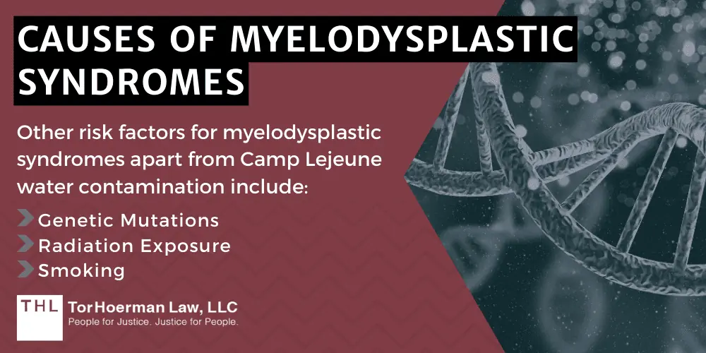 Causes Of Myelodysplastic Syndromes