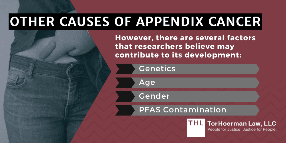 Camp Lejeune Appendix Cancer Lawsuit; Camp Lejeune Lawsuit; Camp Lejeune Water Contamination Lawsuit; Camp Lejeune Justice Act; Camp Lejeune Lawyers; Appendix Cancer Linked To Contaminated Drinking Water At Camp Lejeune; About Appendix Cancer; Appendix Cancer And Camp Lejeune Water Contamination; Other Causes Of Appendix Cancer