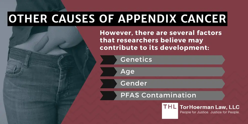 Other Causes Of Appendix Cancer