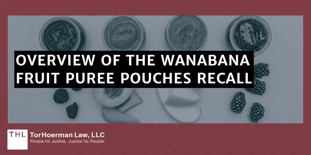 FDA Recalls WanaBana Fruit Puree Pouches Due to Lead Content; WanaBana Recall; WanaBana Lead Exposure; WanaBana Lead Poisoning; FDA Fruit Pouch Recall; Overview Of The WanaBana Fruit Puree Pouches Recall