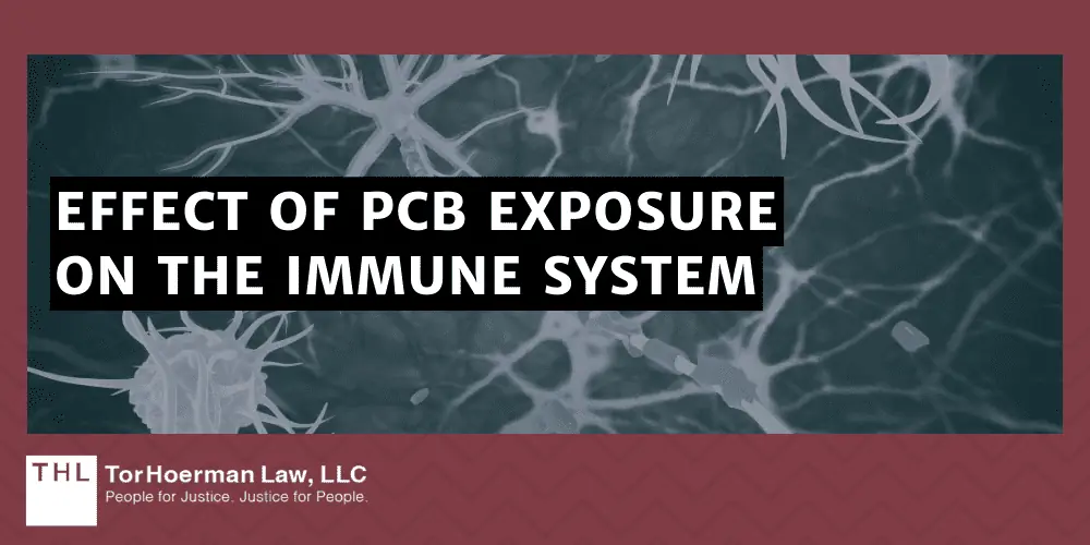 Long Term Effects of PCB Exposure; PCB Exposure Lawsuit; PCB Lawsuits; PCB Lawsuit; PCBs in Schools; Long-Term Health Effects Of PCB Exposure; PCBs Accumulate In The Body; Nervous System And Cognitive Effects; Potential Neurological Effects Of PCB Exposures; Potential Developmental Effects Of PCB Exposures; PCBs As Endocrine Disruptors; Effect Of PCB Exposure On The Immune System