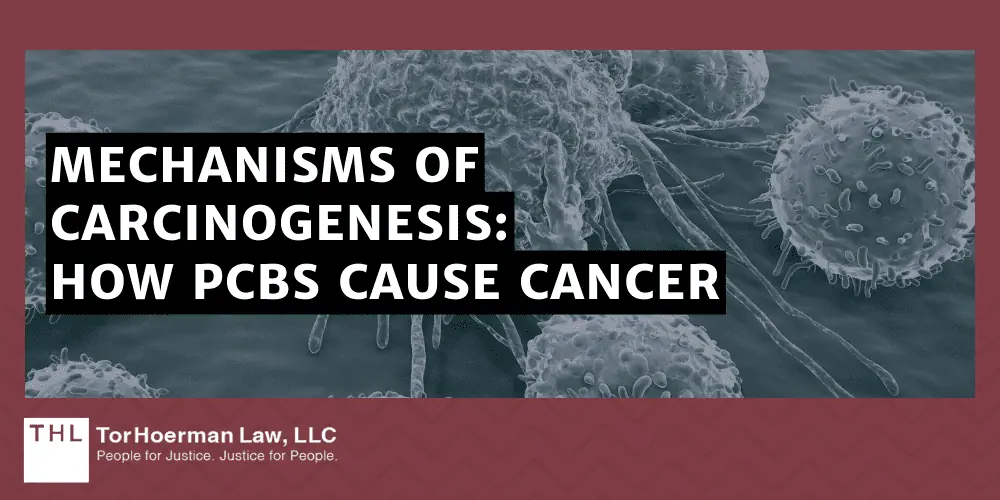 PCBs and Cancer; PCB Lawsuit; Monsanto PCB Lawsuit; Are PCBs Carcinogenic; Do PCBs Cause Cancer; PCB Exposure Lawsuit; Polychlorinated Biphenyls (PCBs) And Cancer; Mechanisms of Carcinogenesis How PCBs Cause Cancer