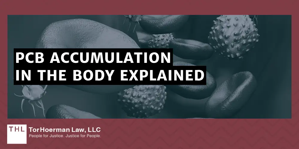 PCB Accumulation In The Body Explained