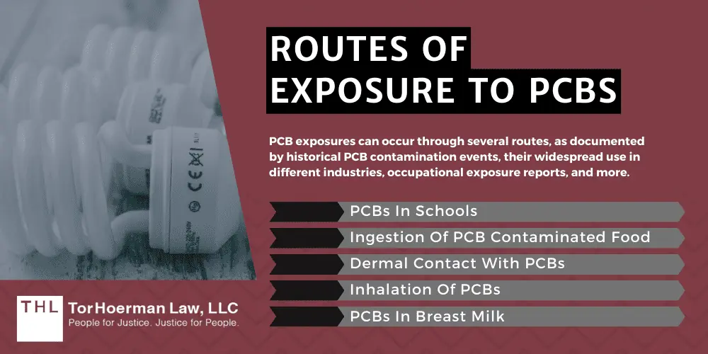 Routes Of Exposure To PCBs