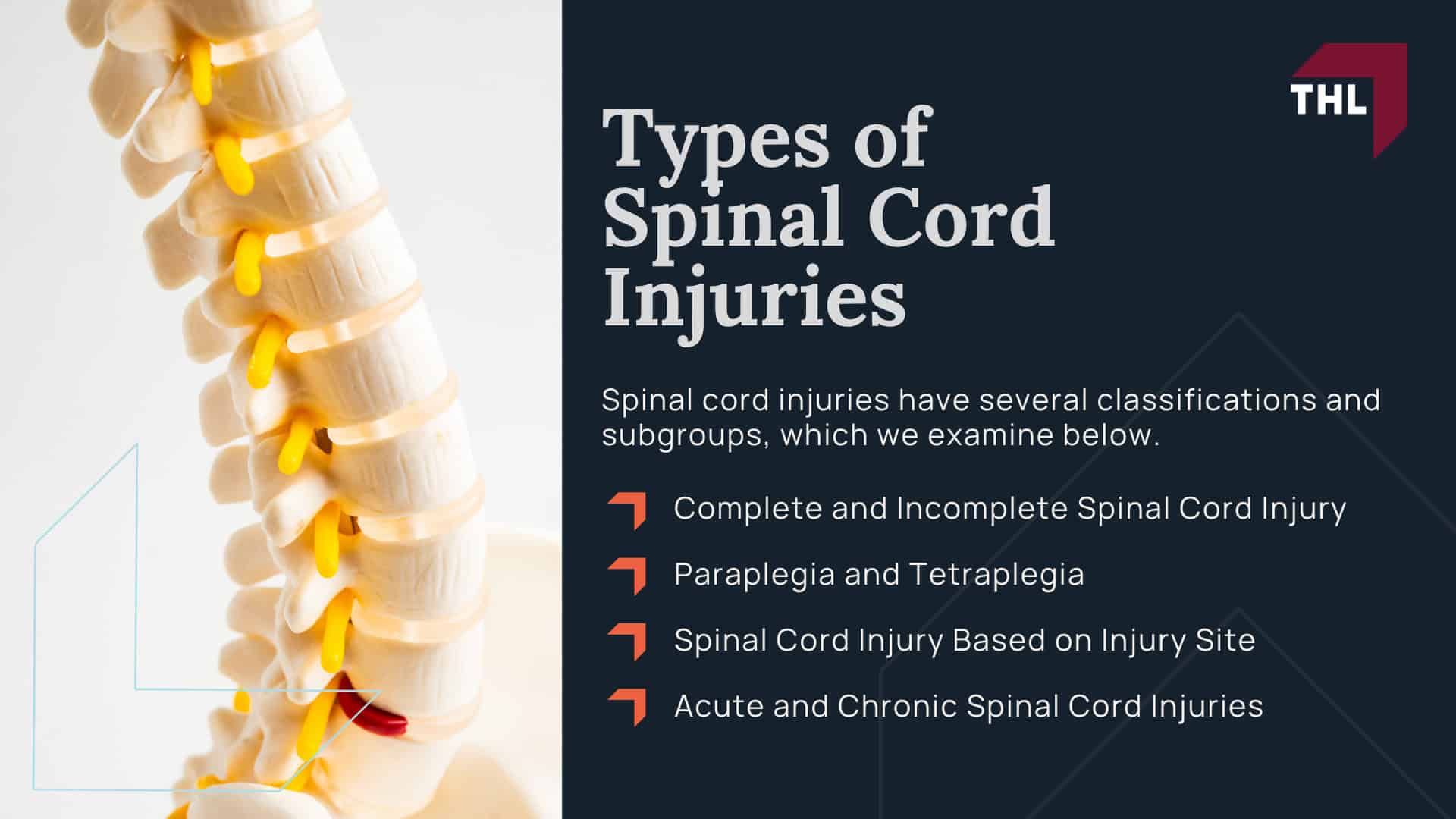 Lawyers For Spinal Cord Injuries in Edwardsville; Types of Spinal Cord Injuries