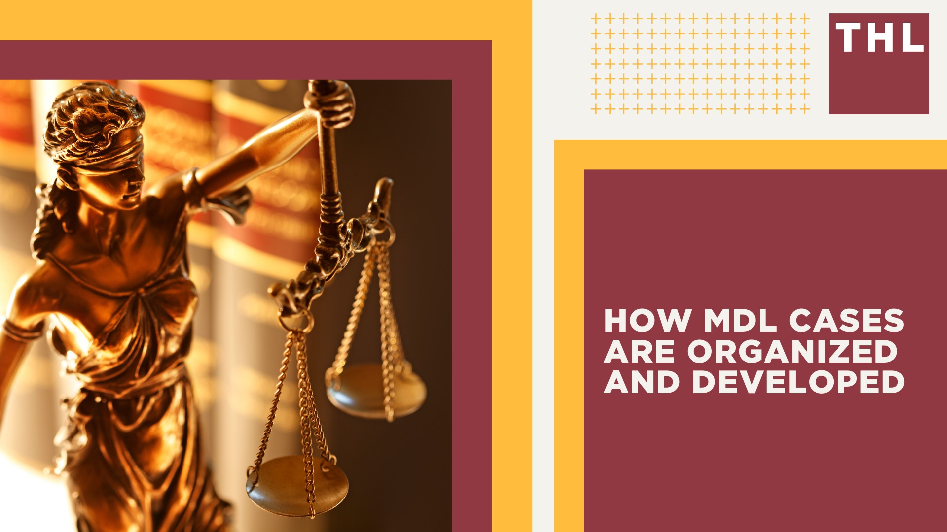 MDL_ Definition and Purpose; Examples of Cases in MDLs; How MDL Cases Are Organized and Developed